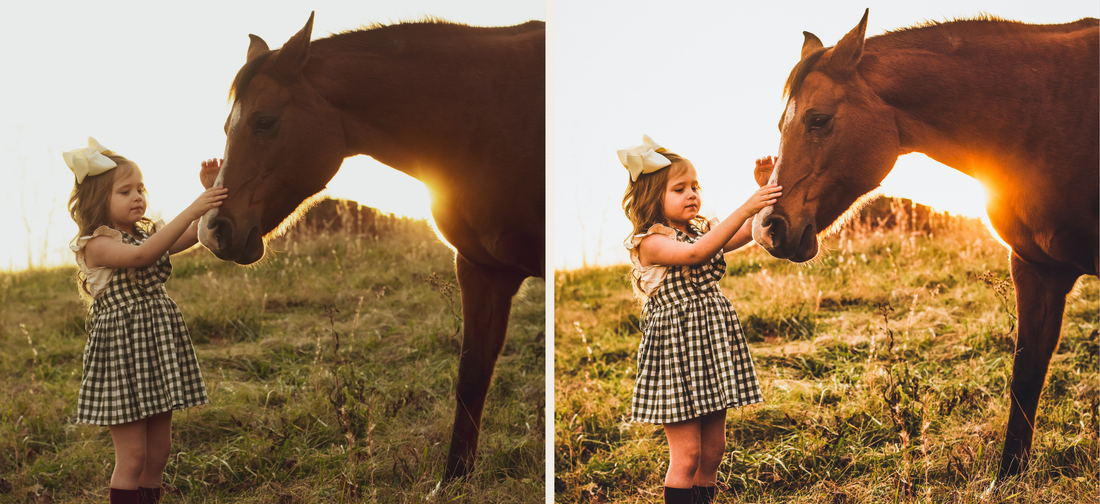 How to Create a Soft Glowy Outdoor Edit in Lightroom