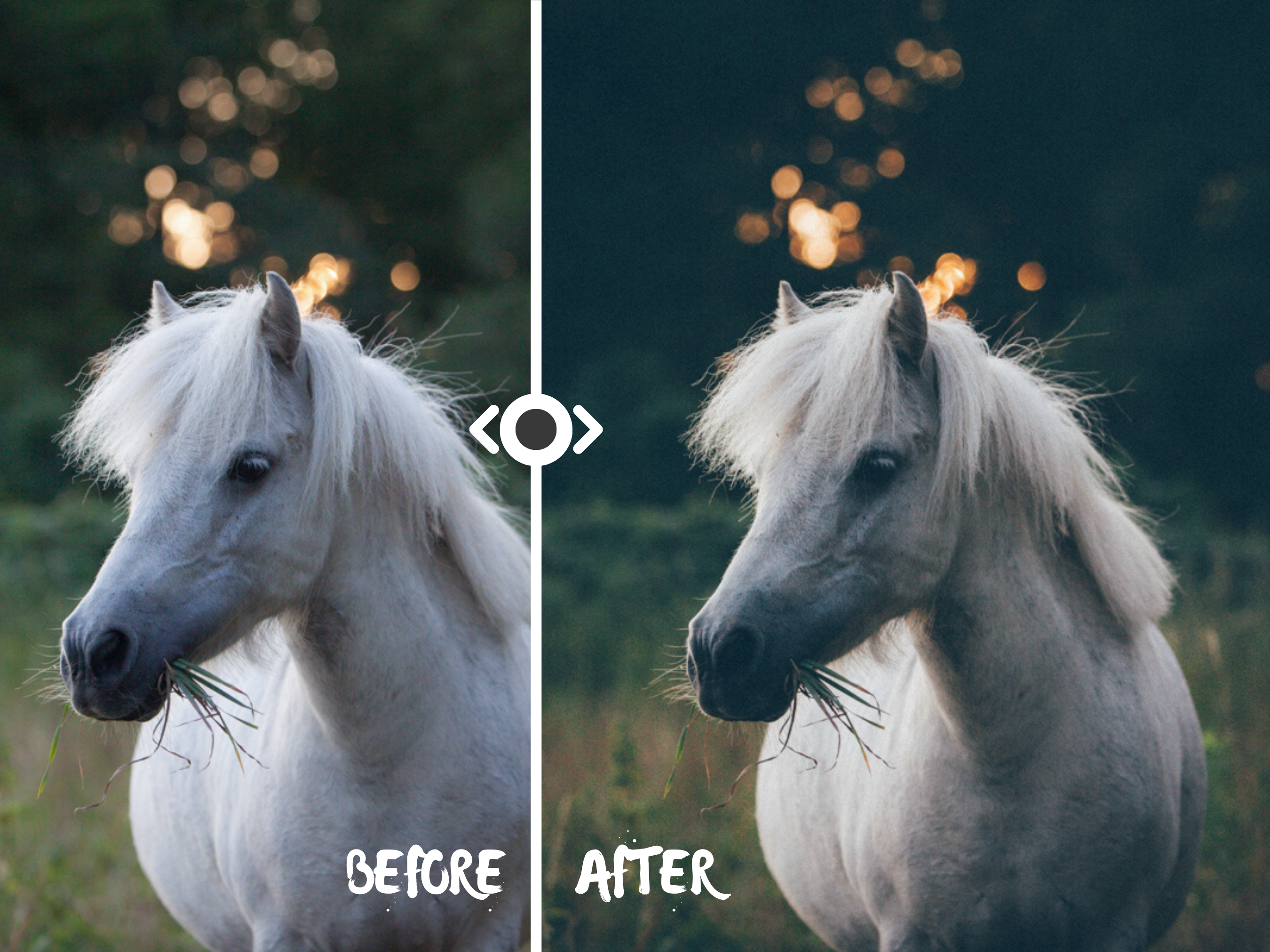 Woodland Lightroom Preset for Horse, Pet & Nature Photography