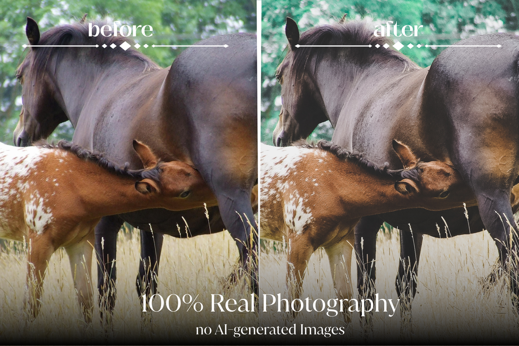 NATURAL GREEN – 10 Lightroom Presets für Pferde-, Haustier- & Outdoor-Fotografie
