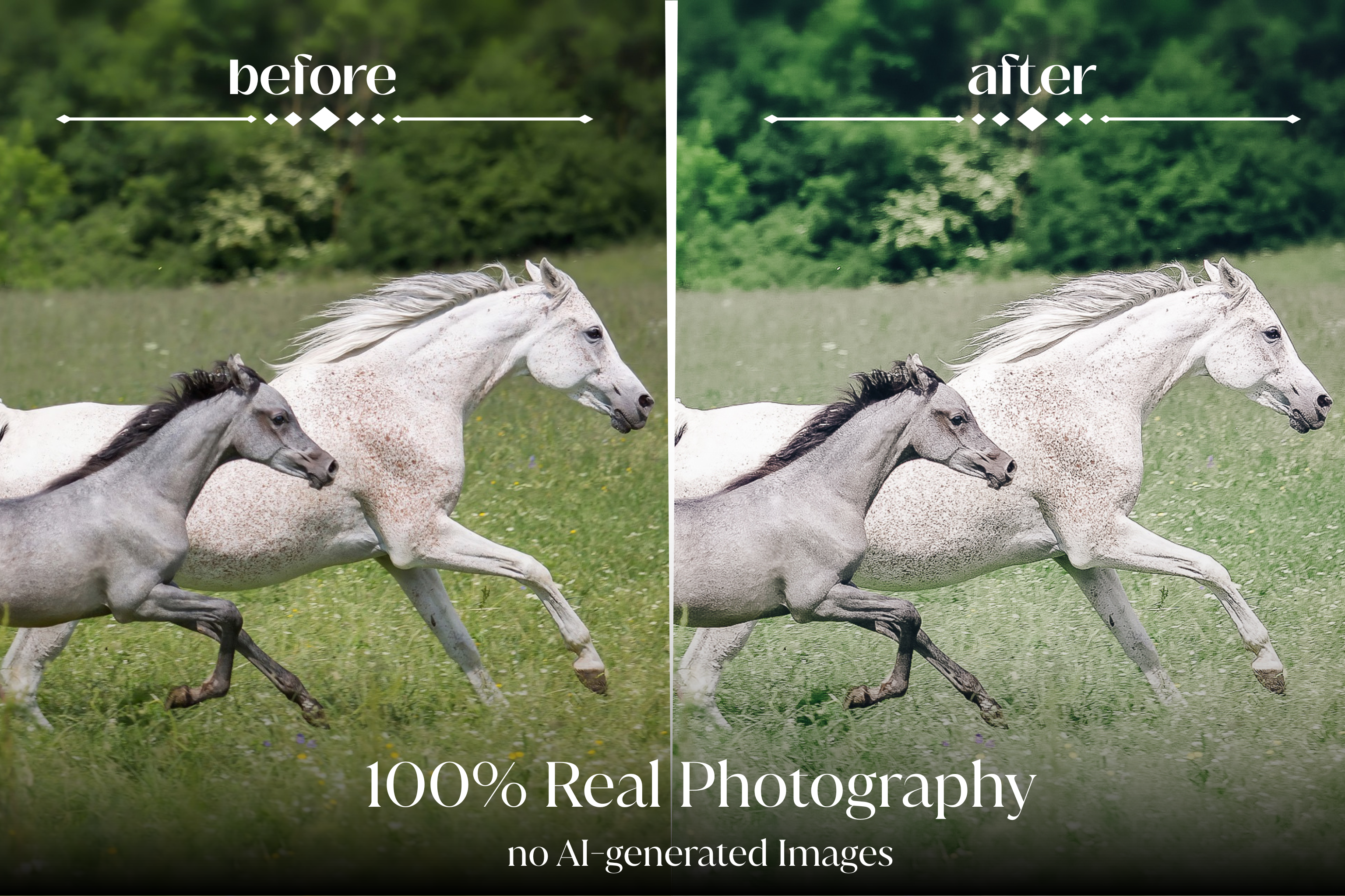 NATURAL GREEN – 10 Lightroom Presets für Pferde-, Haustier- & Outdoor-Fotografie