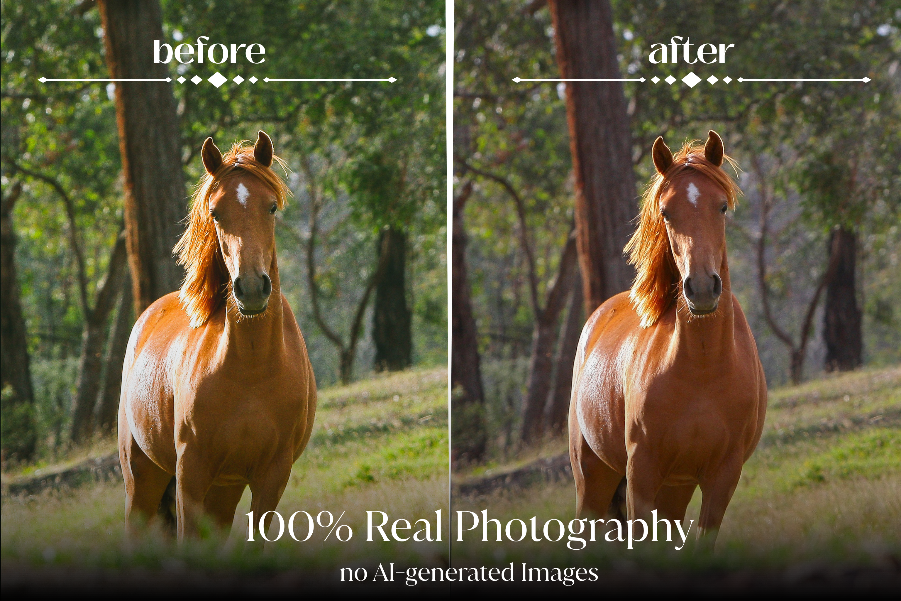 NATURAL GREEN – 10 Lightroom Presets für Pferde-, Haustier- & Outdoor-Fotografie