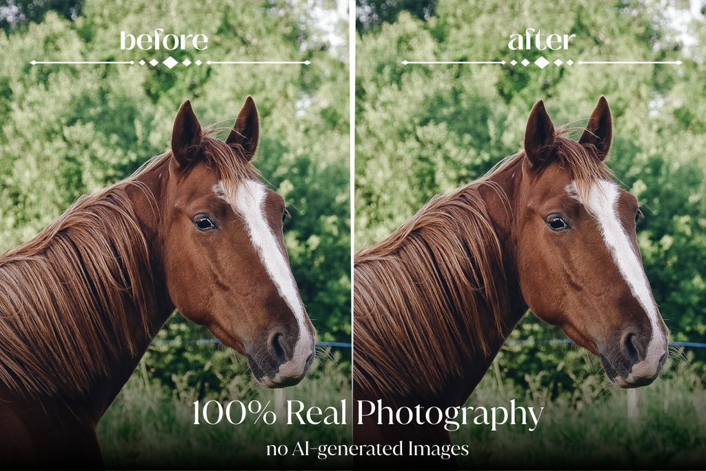 NATURAL GREEN – 10 Lightroom Presets für Pferde-, Haustier- & Outdoor-Fotografie