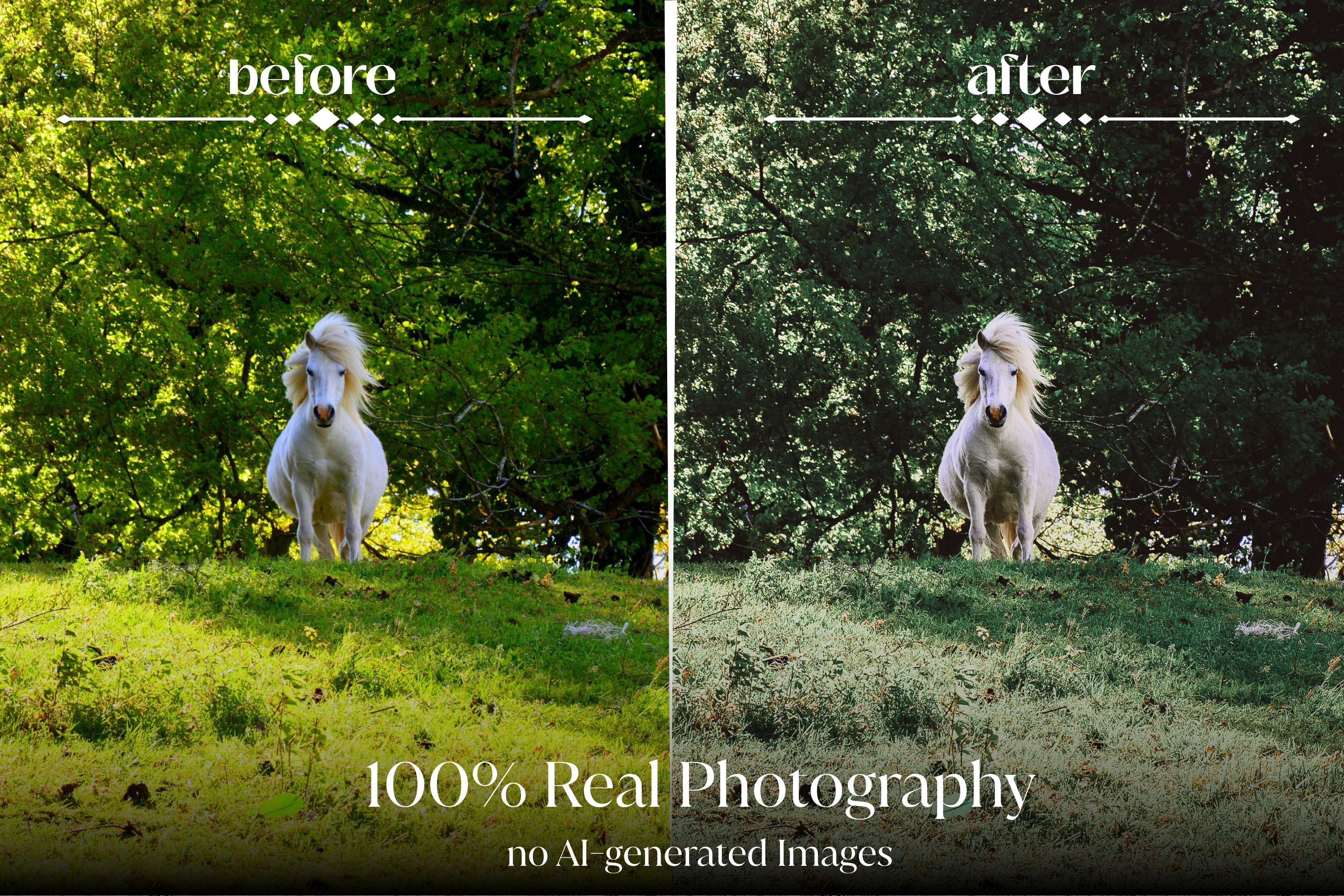 NATURAL GREEN – 10 Lightroom Presets für Pferde-, Haustier- & Outdoor-Fotografie