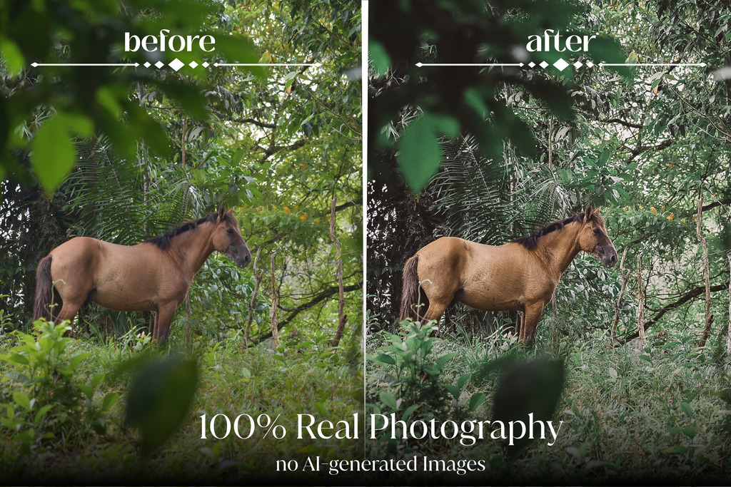 NATURAL GREEN – 10 Lightroom Presets für Pferde-, Haustier- & Outdoor-Fotografie