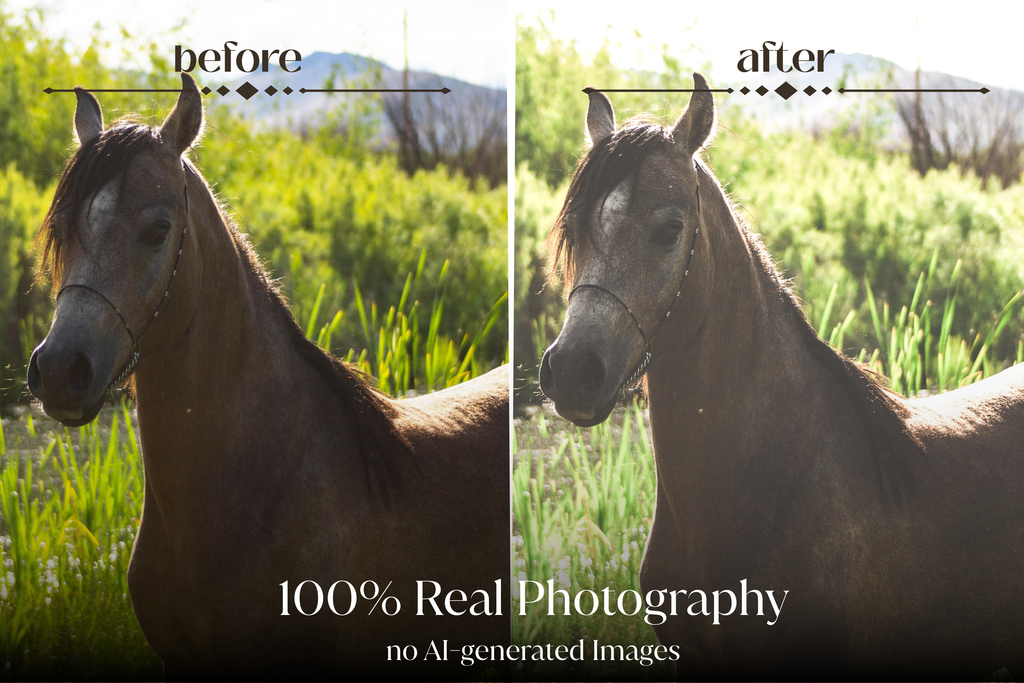 NATURAL GREEN – 10 Lightroom Presets für Pferde-, Haustier- & Outdoor-Fotografie