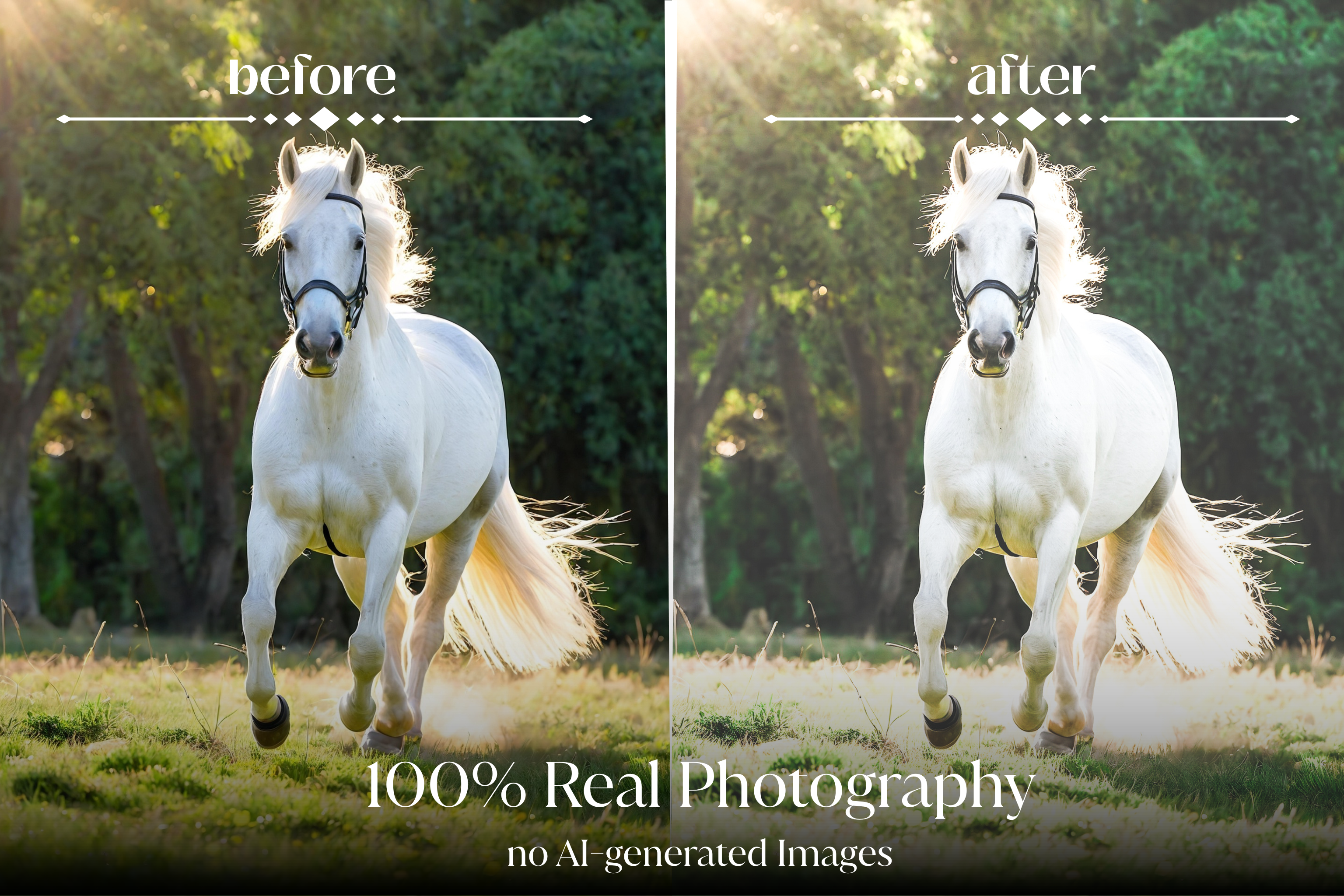 NATURAL GREEN – 10 Lightroom Presets für Pferde-, Haustier- & Outdoor-Fotografie