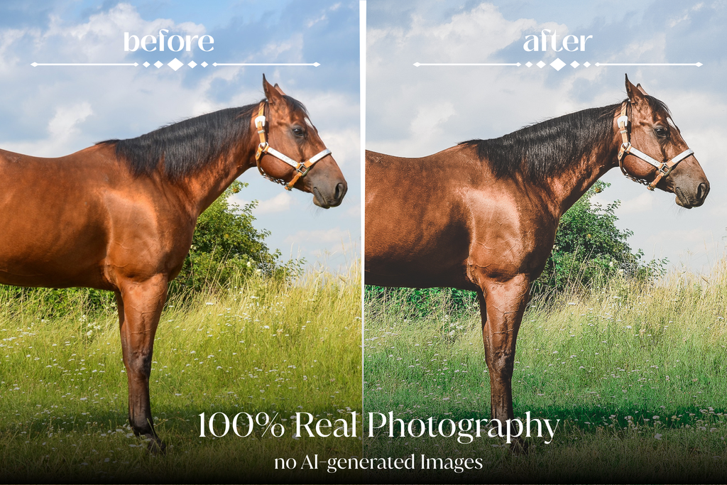NATURAL GREEN – 10 Lightroom Presets für Pferde-, Haustier- & Outdoor-Fotografie