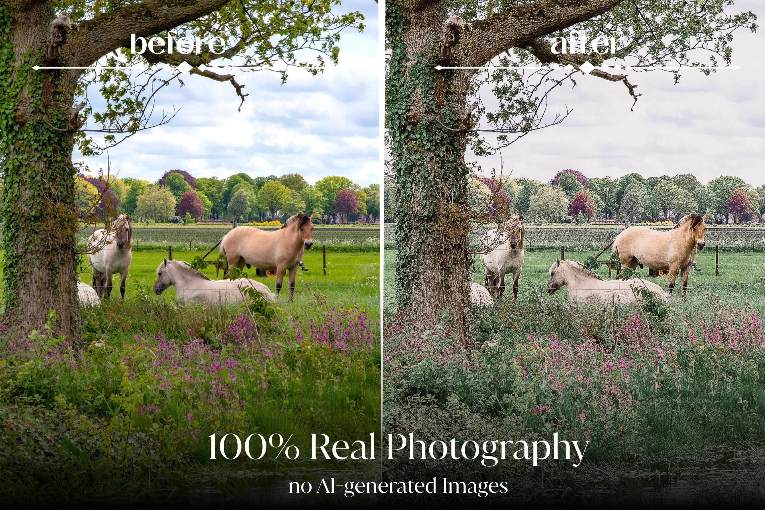 NATURAL GREEN – 10 Lightroom Presets für Pferde-, Haustier- & Outdoor-Fotografie