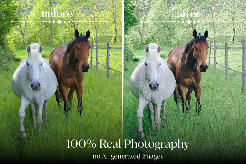 NATURAL GREEN – 10 Lightroom Presets für Pferde-, Haustier- & Outdoor-Fotografie