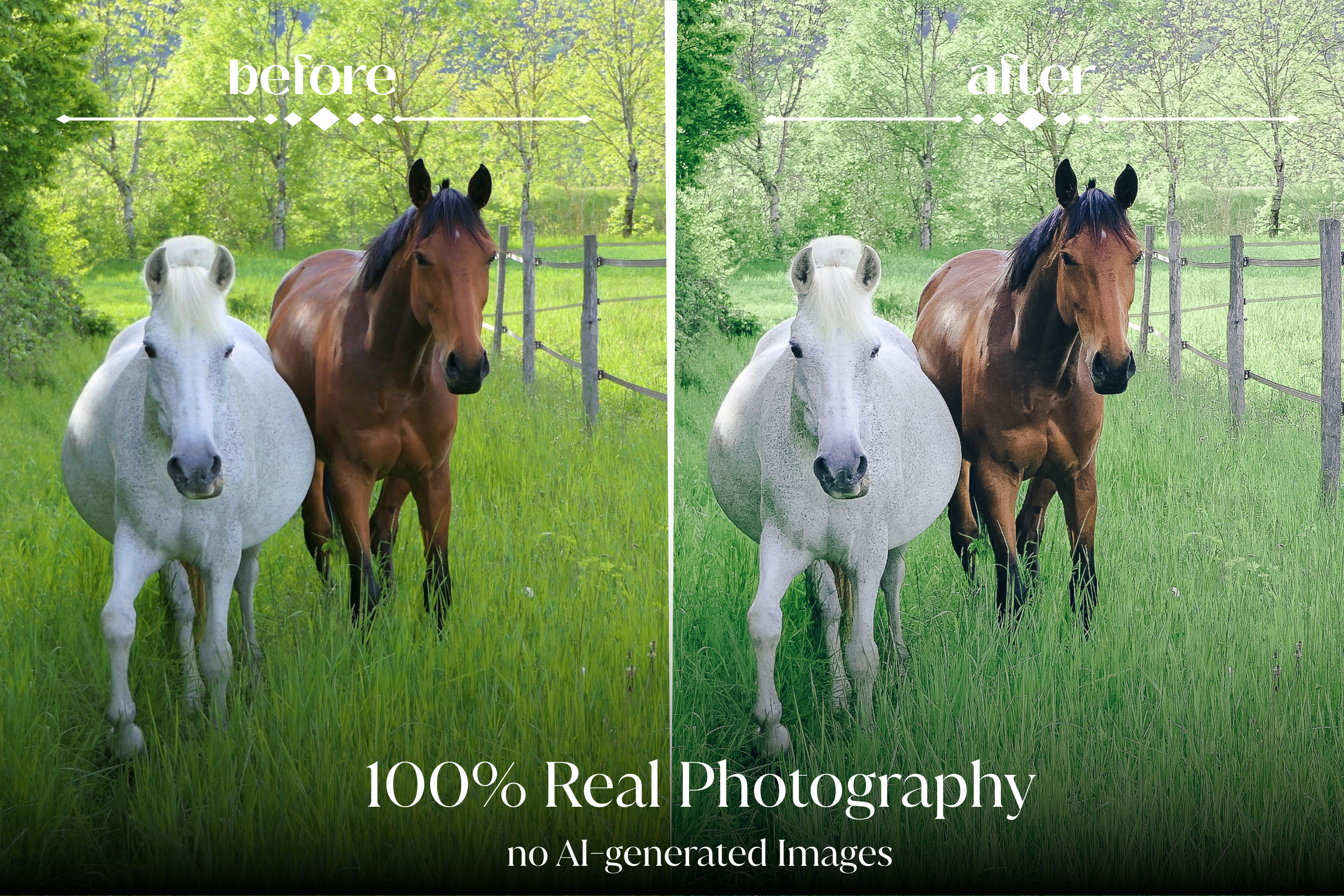 NATURAL GREEN – 10 Lightroom Presets für Pferde-, Haustier- & Outdoor-Fotografie