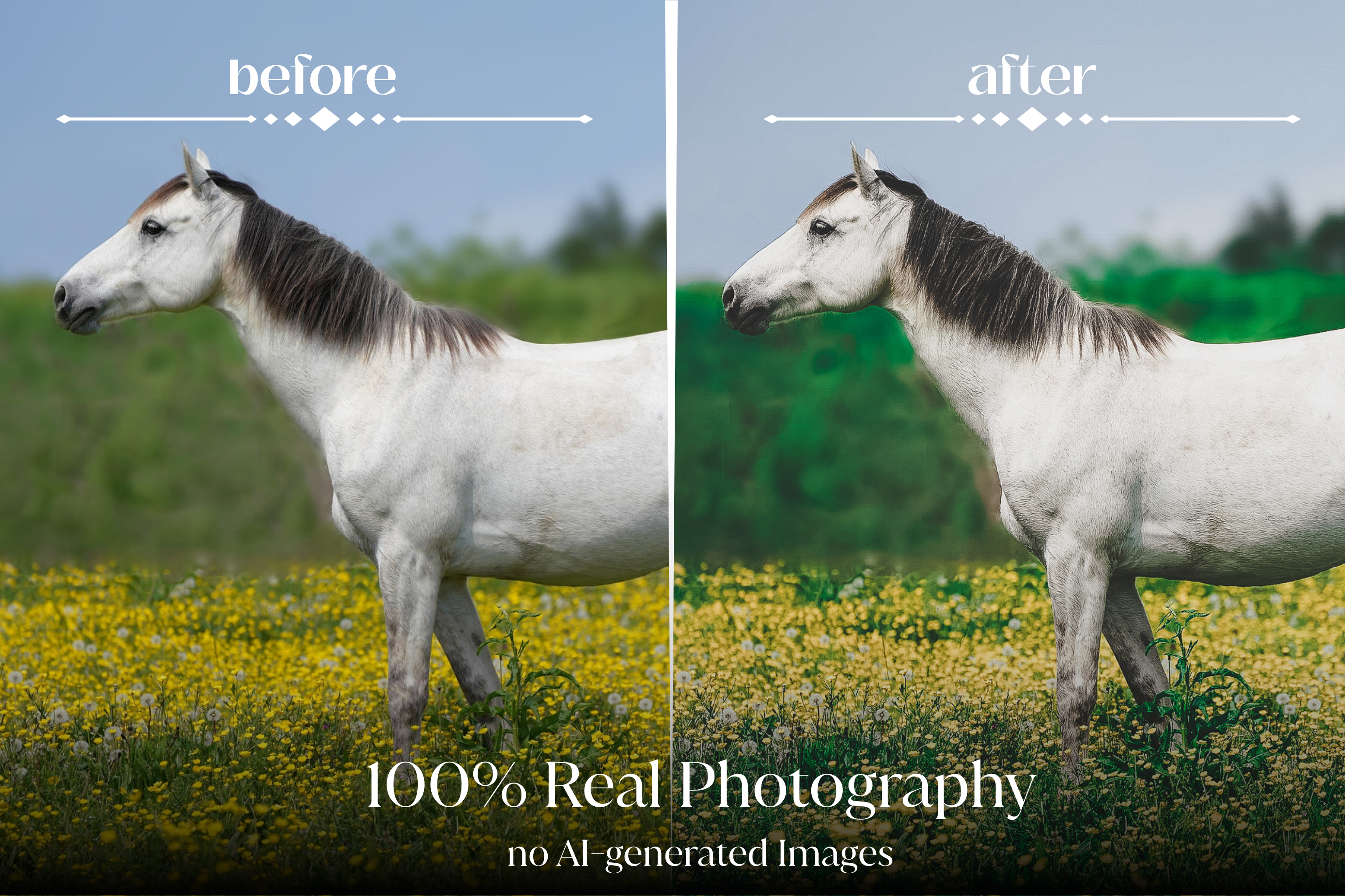 NATURAL GREEN – 10 Lightroom Presets für Pferde-, Haustier- & Outdoor-Fotografie