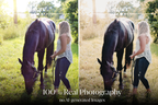 NATURAL GREEN – 10 Lightroom Presets für Pferde-, Haustier- & Outdoor-Fotografie
