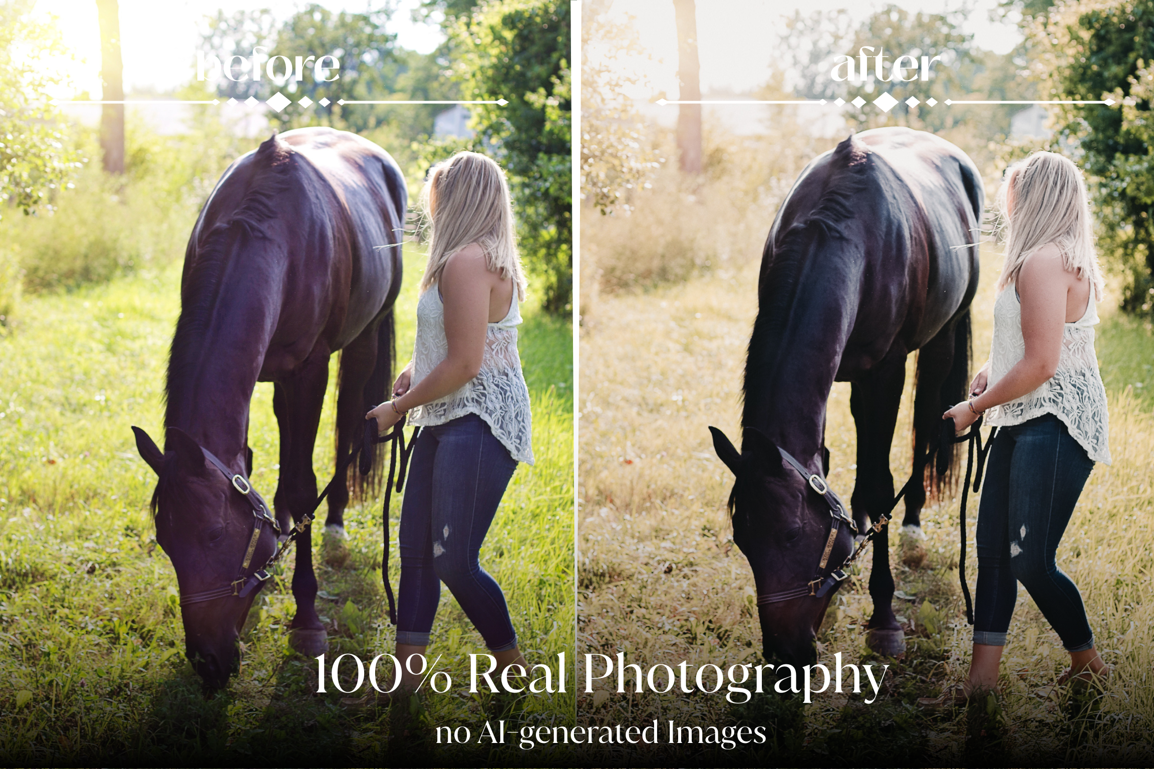 NATURAL GREEN – 10 Lightroom Presets für Pferde-, Haustier- & Outdoor-Fotografie