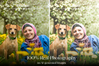 NATURAL GREEN – 10 Lightroom Presets für Pferde-, Haustier- & Outdoor-Fotografie