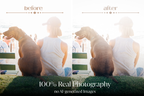 NATURAL GREEN – 10 Lightroom Presets für Pferde-, Haustier- & Outdoor-Fotografie