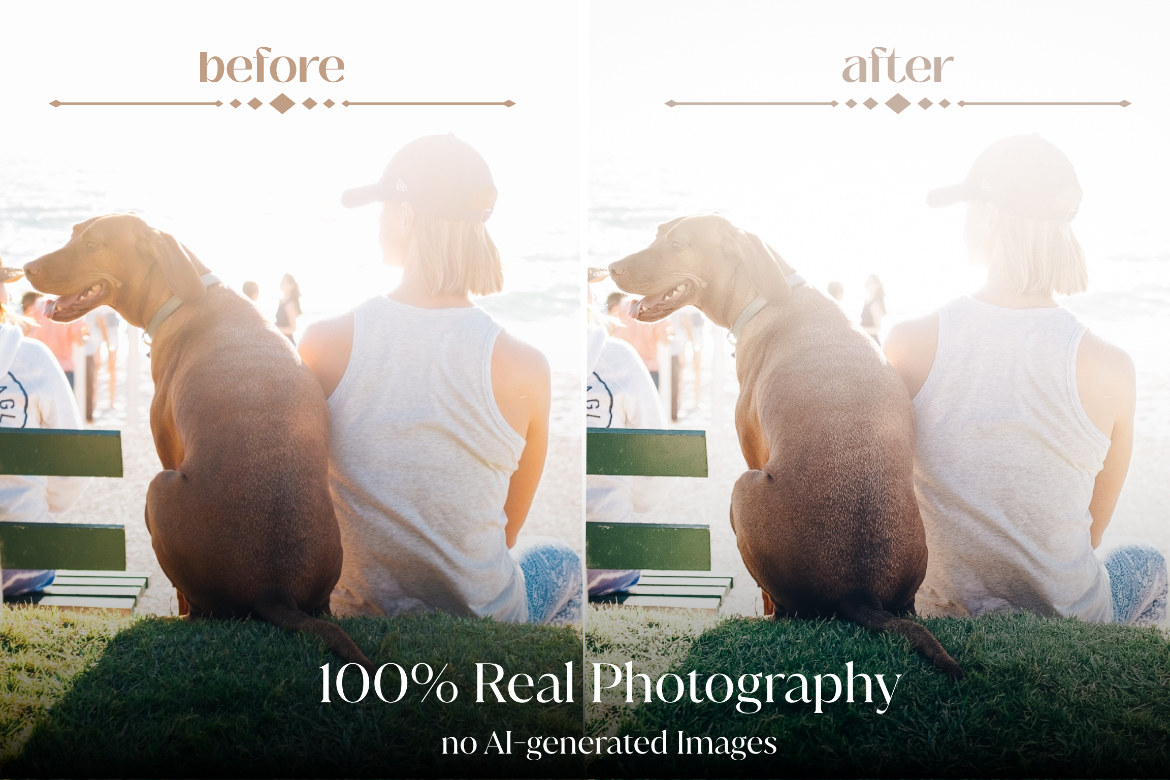 NATURAL GREEN – 10 Lightroom Presets für Pferde-, Haustier- & Outdoor-Fotografie