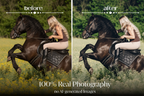 NATURAL GREEN – 10 Lightroom Presets für Pferde-, Haustier- & Outdoor-Fotografie