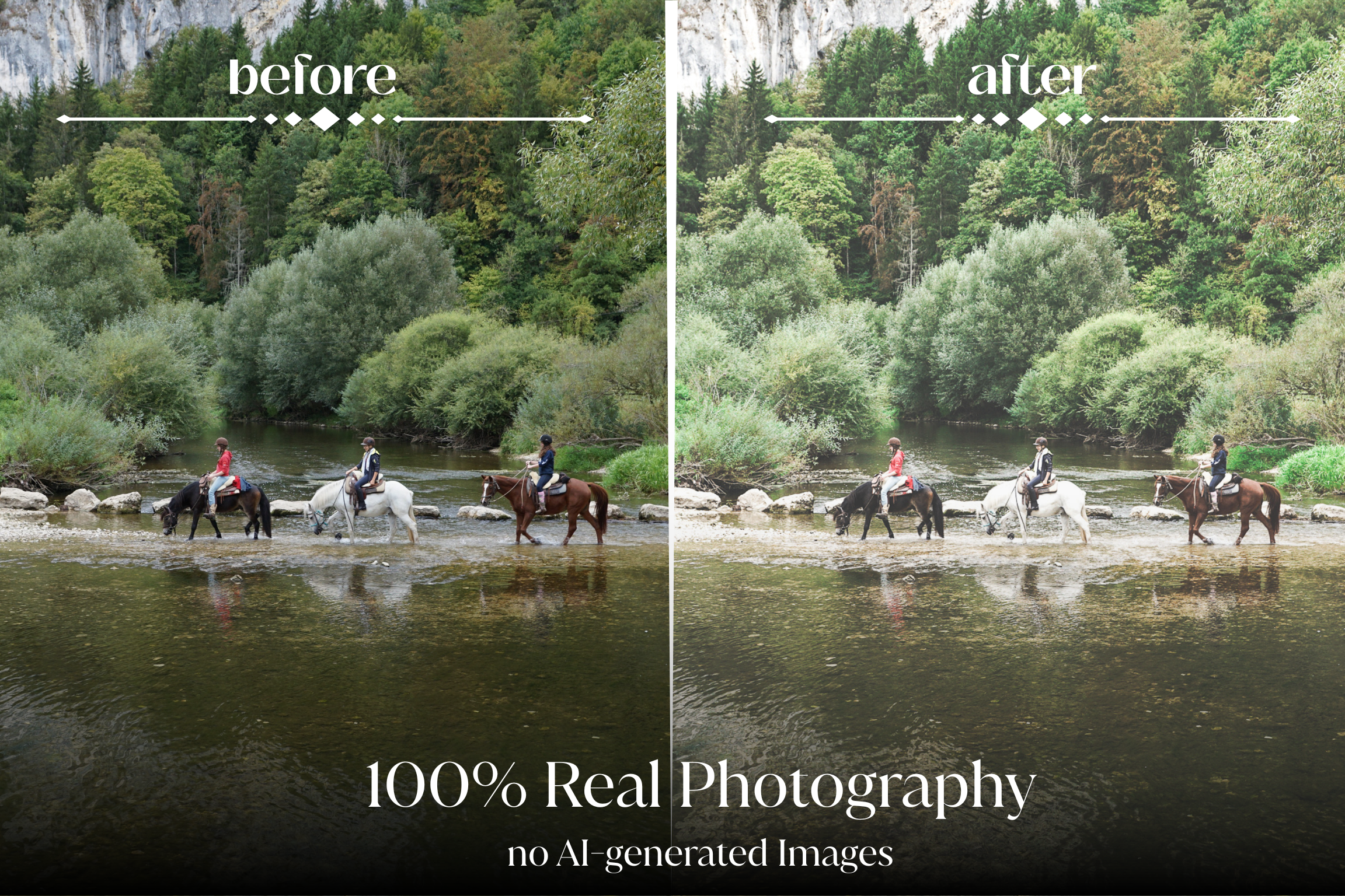NATURAL GREEN – 10 Lightroom Presets für Pferde-, Haustier- & Outdoor-Fotografie