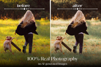 NATURAL GREEN – 10 Lightroom Presets für Pferde-, Haustier- & Outdoor-Fotografie