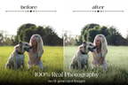 NATURAL GREEN – 10 Lightroom Presets für Pferde-, Haustier- & Outdoor-Fotografie