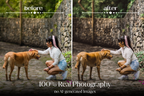 NATURAL GREEN – 10 Lightroom Presets für Pferde-, Haustier- & Outdoor-Fotografie