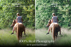 NATURAL GREEN – 10 Lightroom Presets für Pferde-, Haustier- & Outdoor-Fotografie