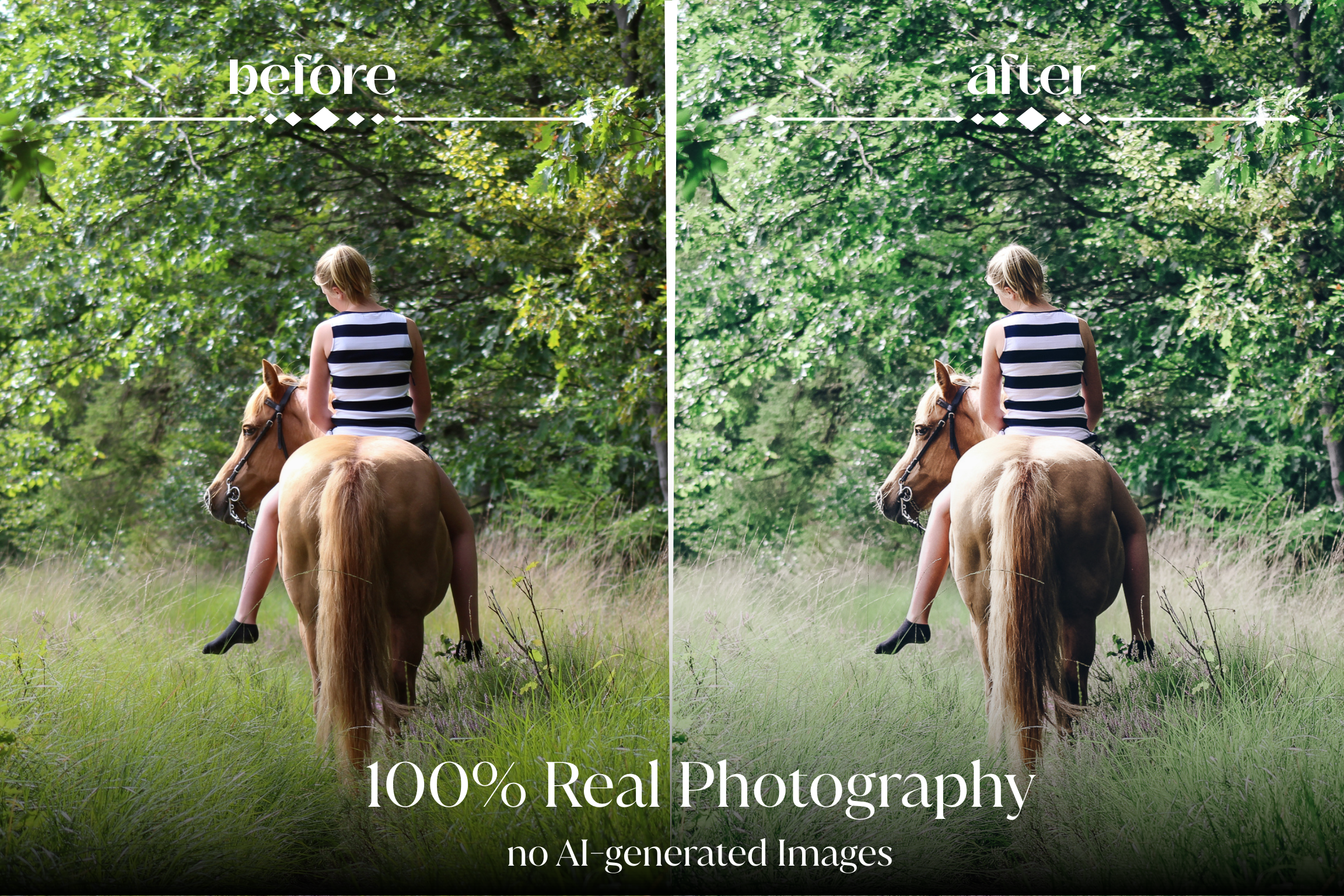 NATURAL GREEN – 10 Lightroom Presets für Pferde-, Haustier- & Outdoor-Fotografie