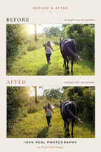 WOODLAND FOLKLORE — 33 filmische Cottagecore-Lightroom-Presets