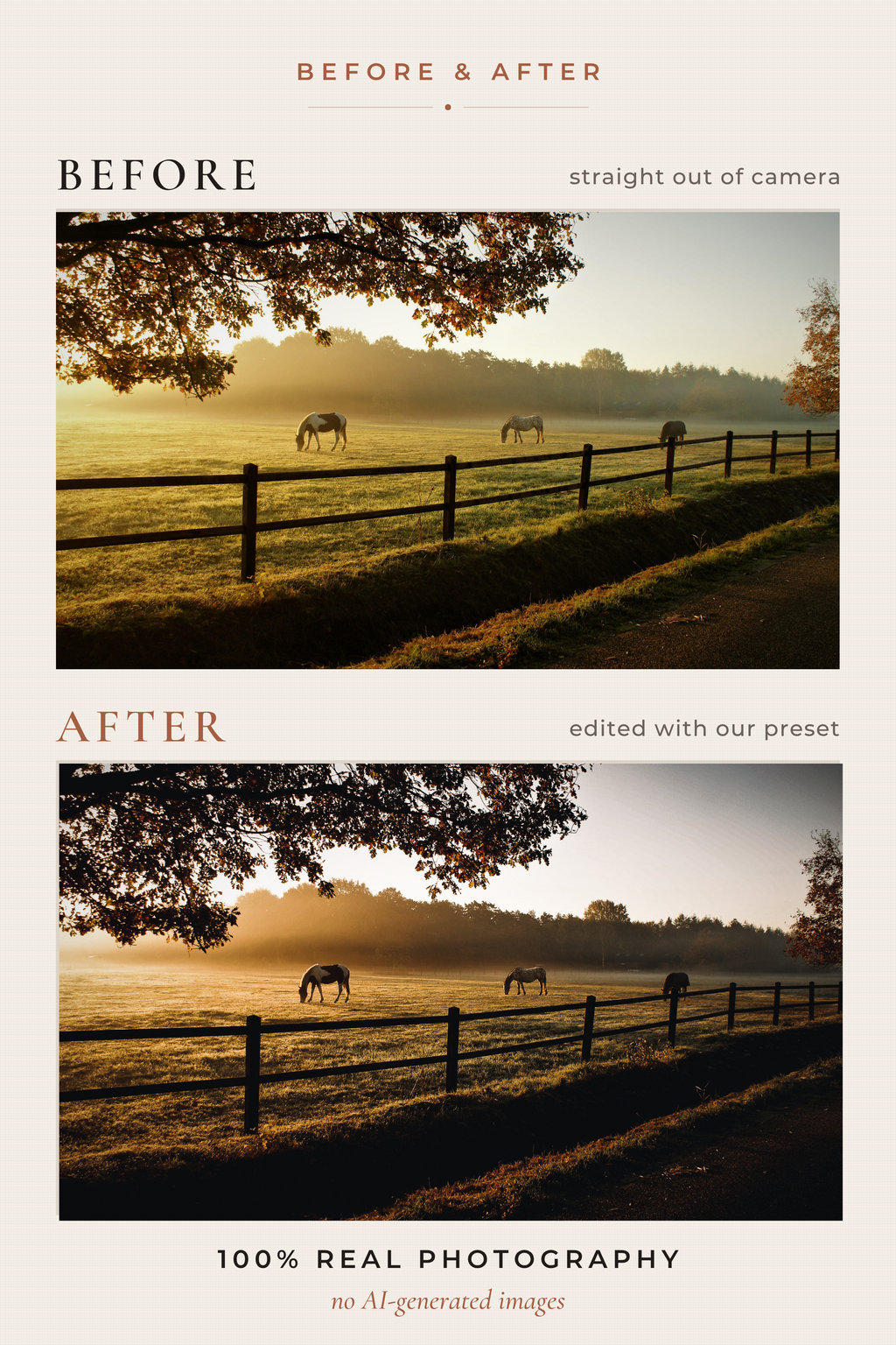 WOODLAND FOLKLORE — 33 Cinematic Cottagecore Lightroom Presets
