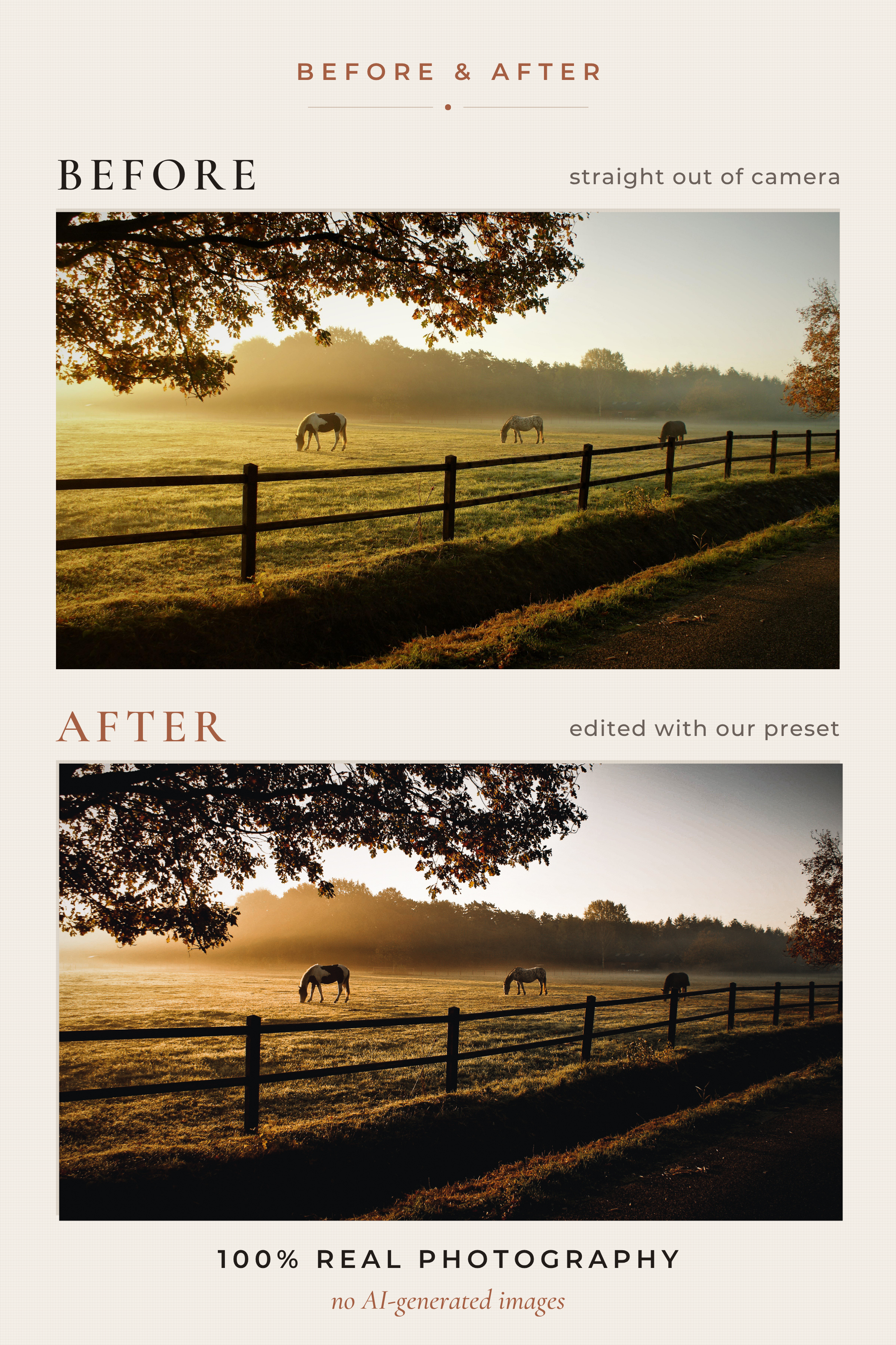 WOODLAND FOLKLORE — 33 Cinematic Cottagecore Lightroom Presets