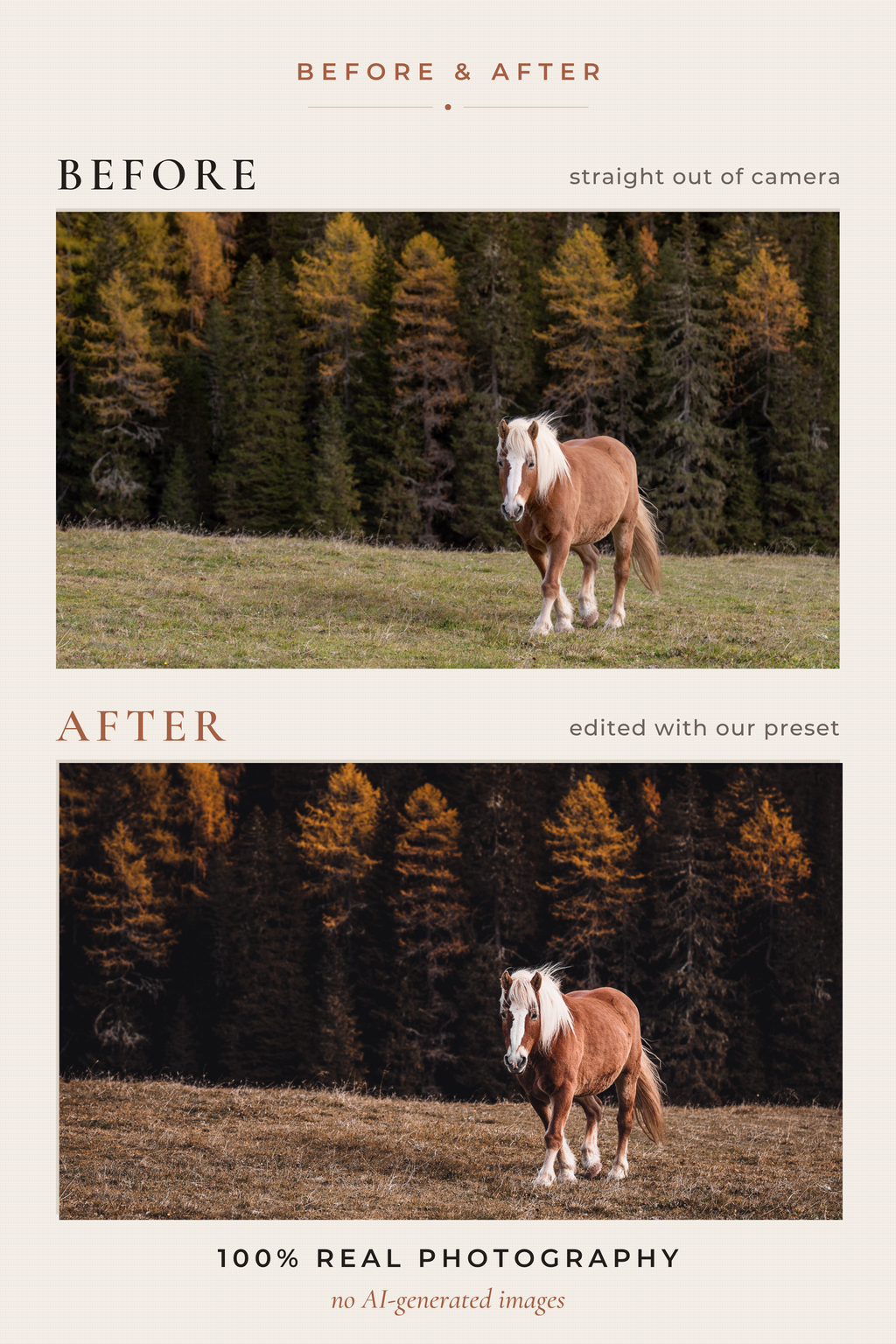 WOODLAND FOLKLORE — 33 Cinematic Cottagecore Lightroom Presets