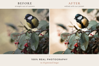 WESTERN RANCH – 30 Lightroom-Presets für Pferde & Outdoor