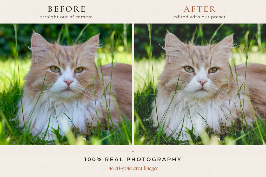 WESTERN RANCH – 30 Lightroom-Presets für Pferde & Outdoor