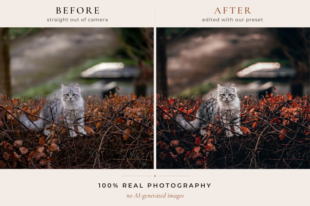 WESTERN RANCH – 30 Lightroom-Presets für Pferde & Outdoor