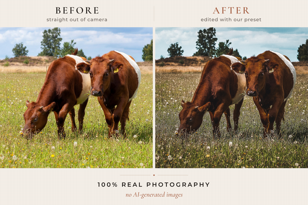 WESTERN RANCH – 30 Lightroom-Presets für Pferde & Outdoor