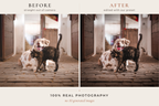 WESTERN RANCH – 30 Lightroom-Presets für Pferde & Outdoor