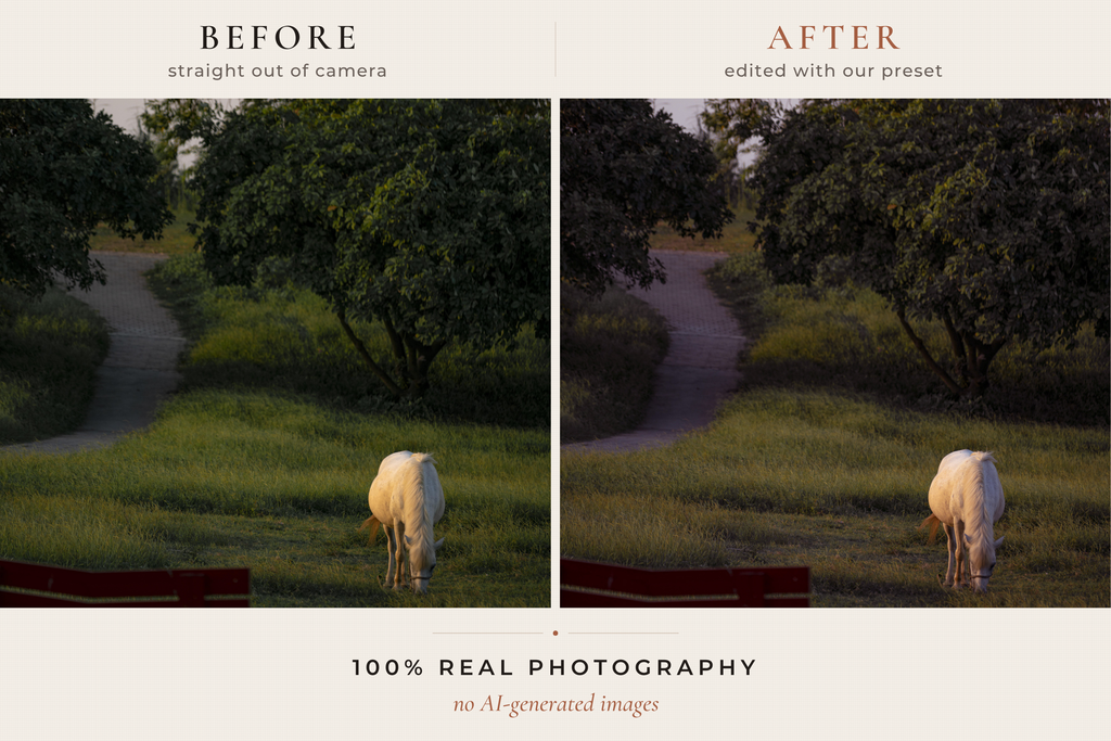 WOODLAND FOLKLORE — 33 Cinematic Cottagecore Lightroom Presets