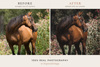 WESTERN RANCH – 30 Lightroom-Presets für Pferde & Outdoor