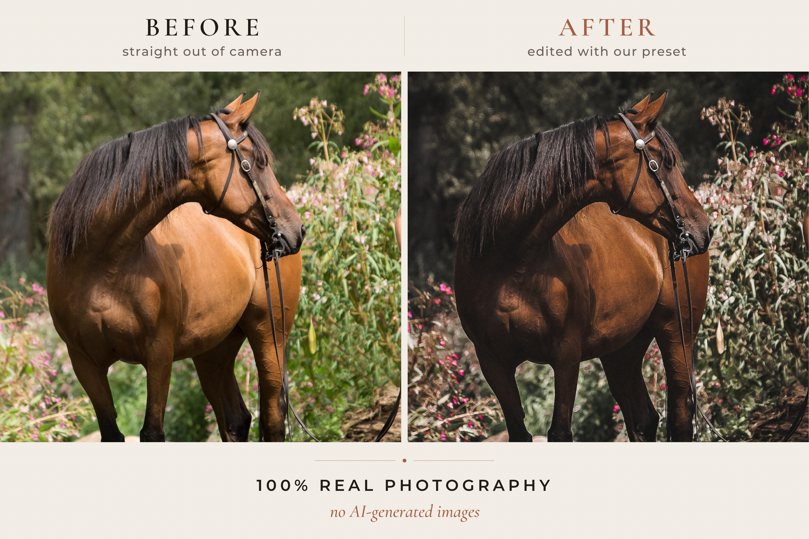 WESTERN RANCH – 30 Lightroom-Presets für Pferde & Outdoor