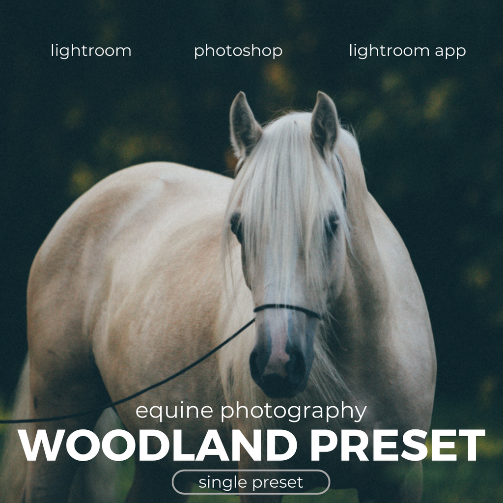 Woodland Lightroom Preset for Horse, Pet & Nature Photography