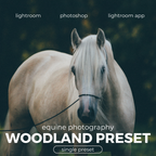 WOODLAND — Lightroom-Preset für Pferde-, Haustier- und Naturfotografie