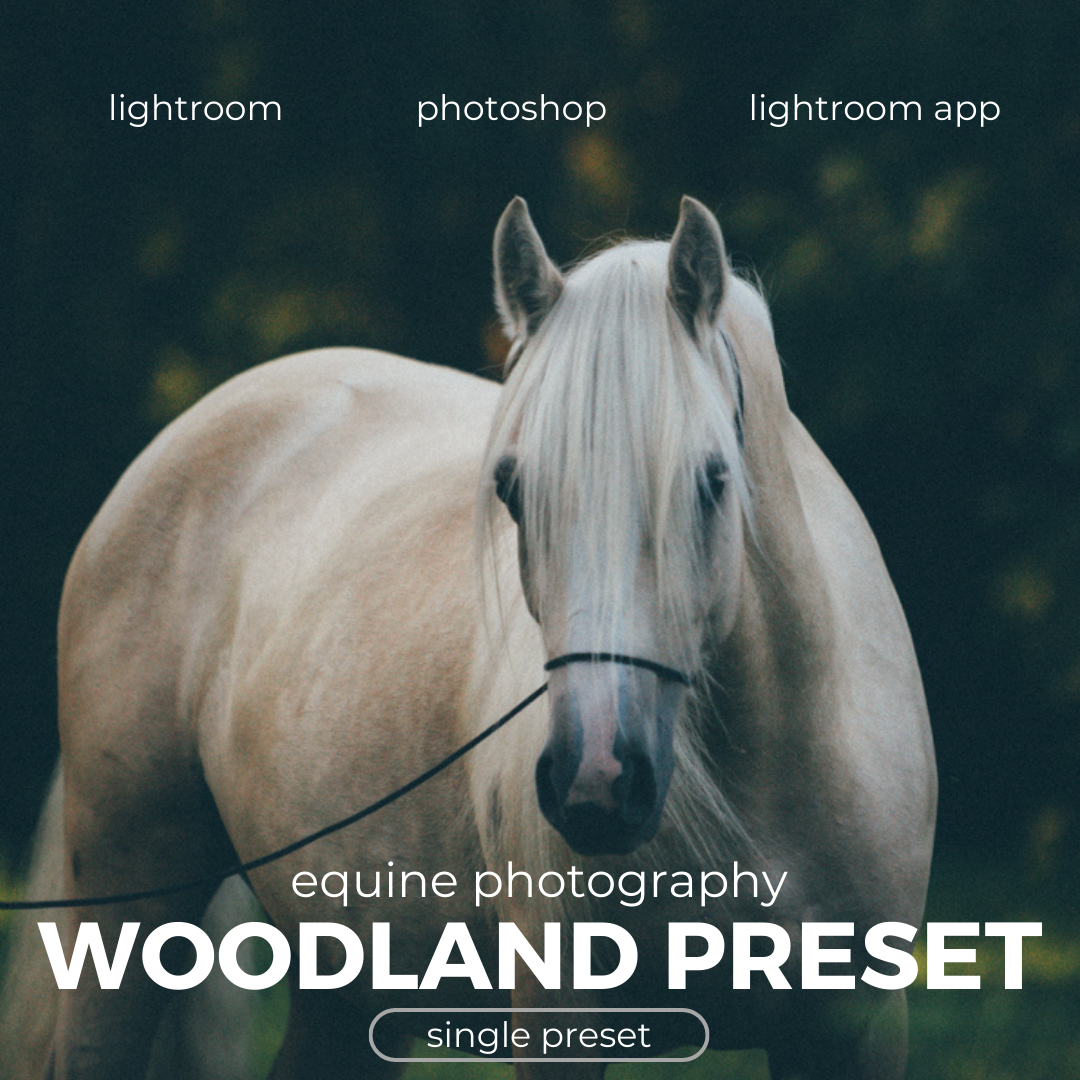 Woodland Lightroom Preset for Horse, Pet & Nature Photography