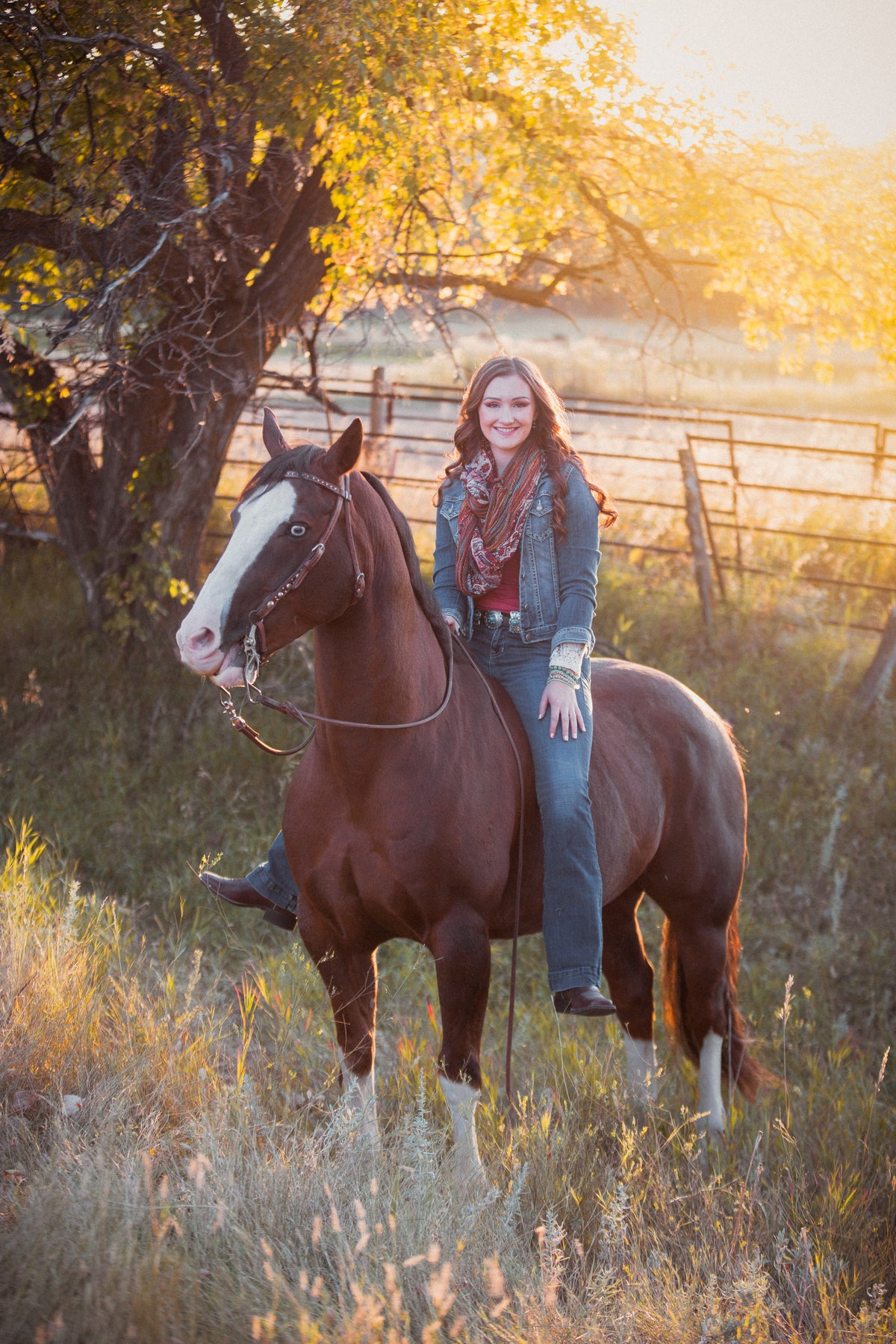 After applying Night Amber: warm golden tones and deeper contrast in an equestrian portrait
