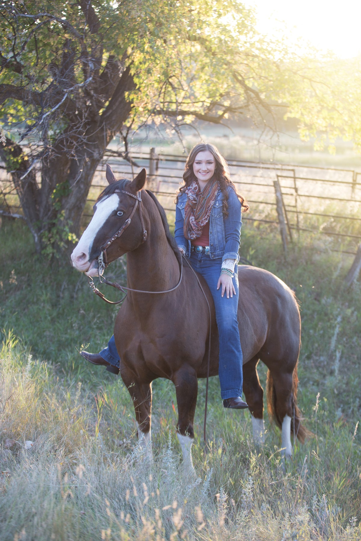 Before editing: woman with a dark horse in soft evening backlight