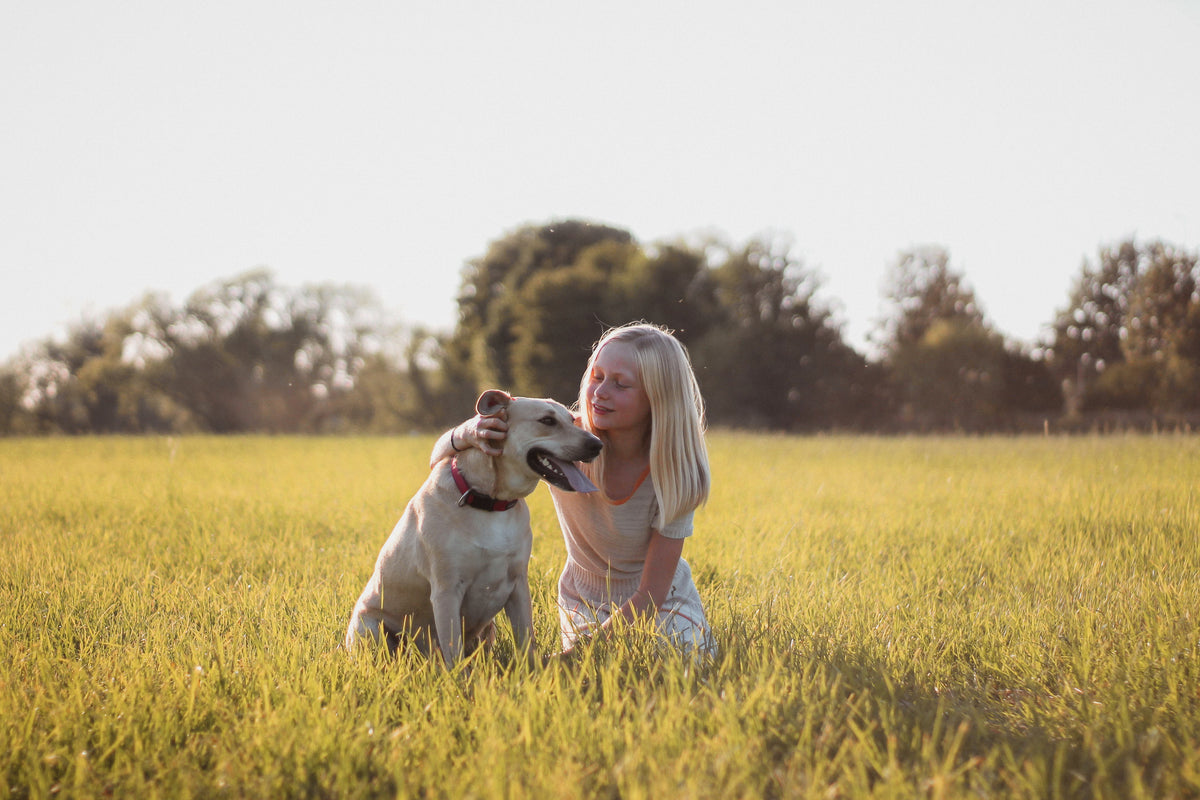 After applying Sun Kissed: soft golden warmth in an outdoor portrait of a child and dog