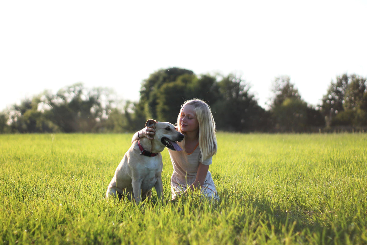 Before editing: child and dog sitting together in a bright green summer field